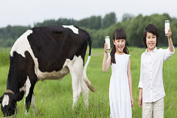 蒙牛乳业【食品与日化 / 大型企业】
